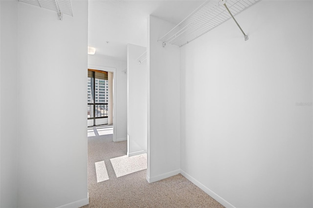 walk in closet with carpet