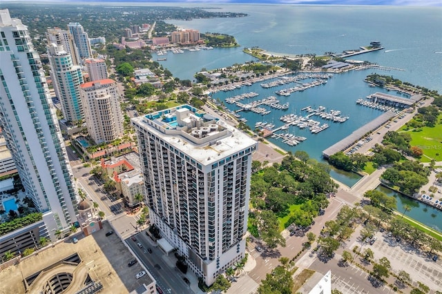 aerial view with a water view and a view of city