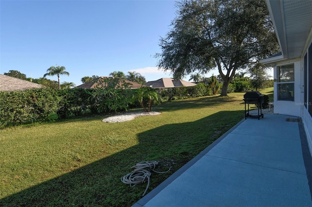 view of yard with a patio