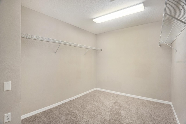 walk in closet with carpet floors