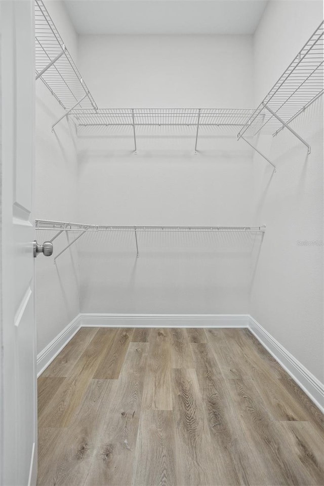 walk in closet featuring hardwood / wood-style flooring