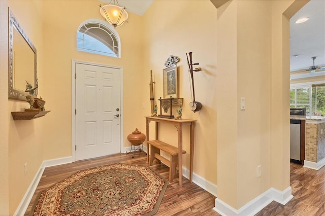 entrance foyer featuring wood-type flooring, a high ceiling, and ceiling fan