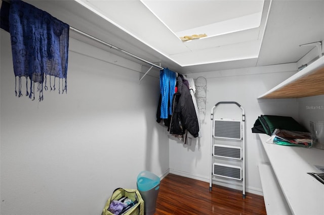 spacious closet featuring dark hardwood / wood-style floors