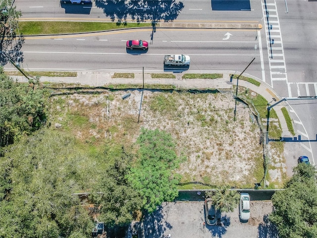 4001 N 34th St, Tampa, FL 33610 - photo 1