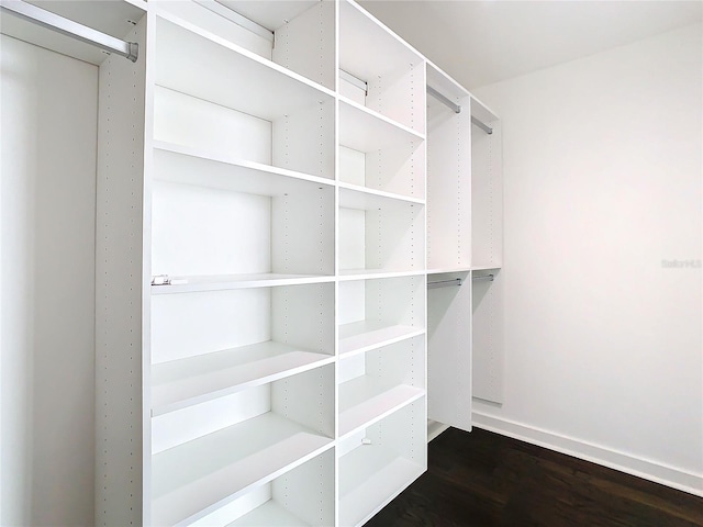 walk in closet featuring wood-type flooring