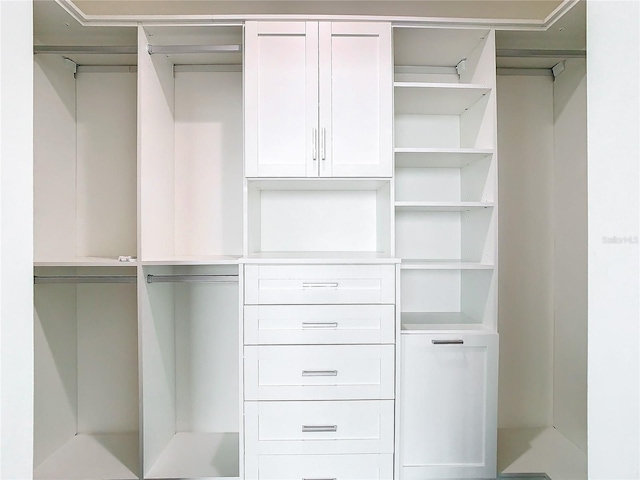 view of spacious closet