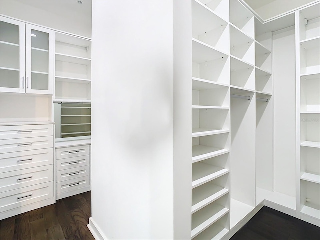 spacious closet with dark hardwood / wood-style flooring