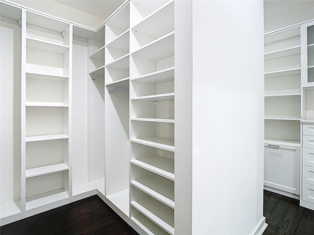 spacious closet with dark hardwood / wood-style floors