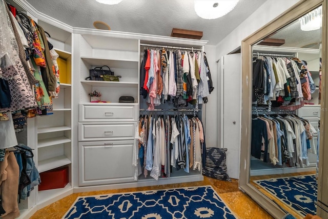 view of walk in closet