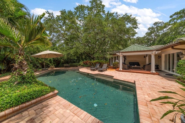 view of pool featuring a patio area and outdoor lounge area