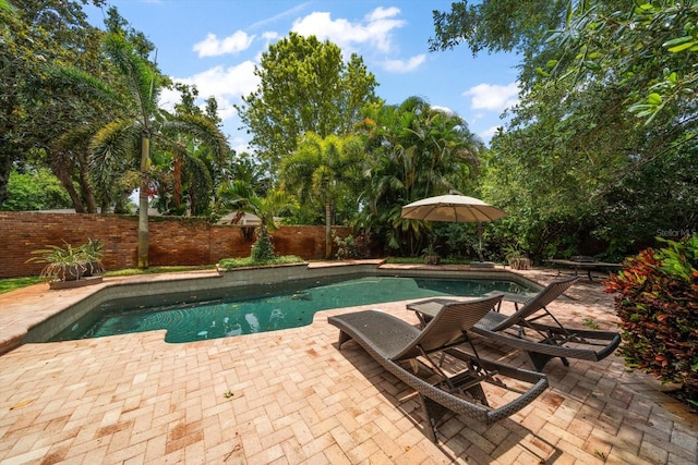 view of pool with a patio