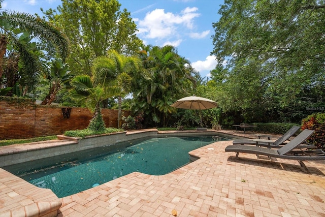 view of swimming pool featuring a patio