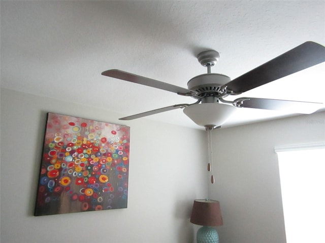 interior details featuring ceiling fan