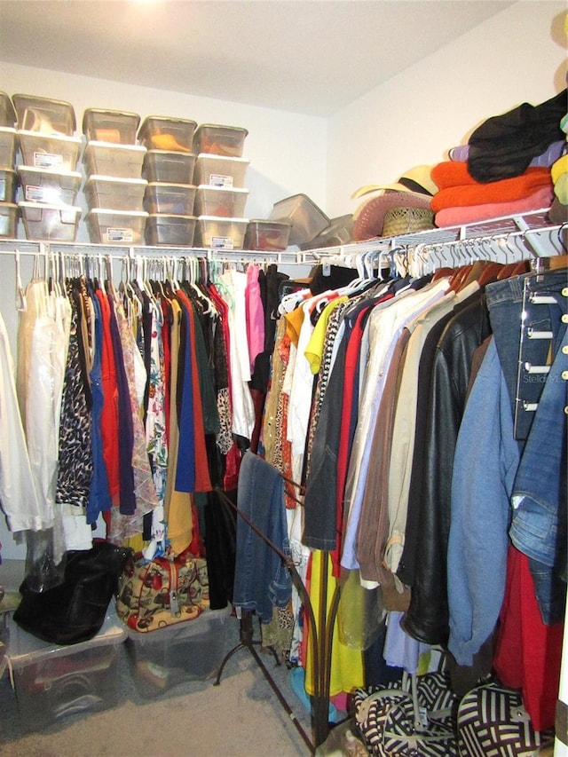 spacious closet featuring carpet floors