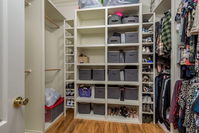 walk in closet with hardwood / wood-style floors