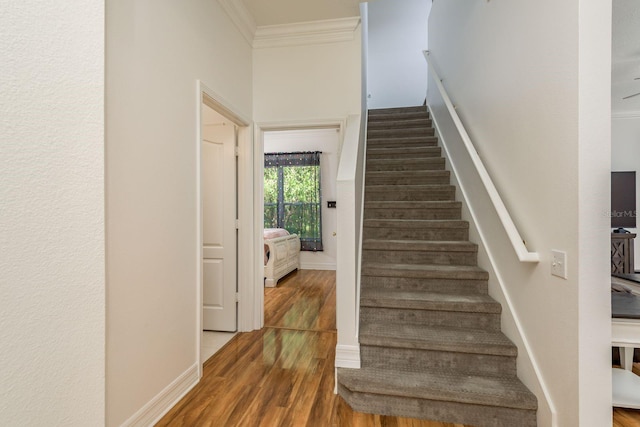 stairway with ornamental molding and wood-type flooring