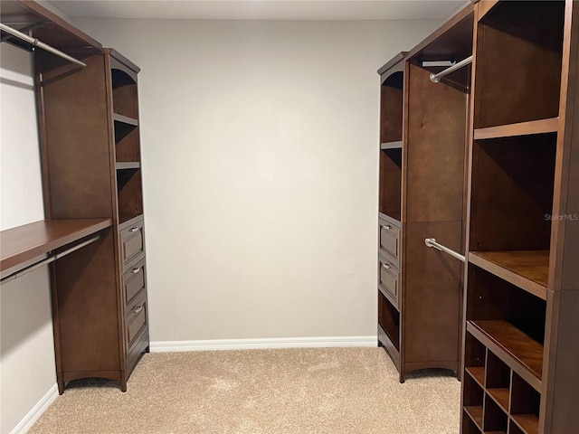 spacious closet featuring light carpet