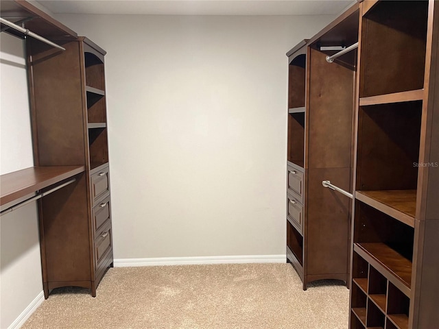 spacious closet featuring light colored carpet