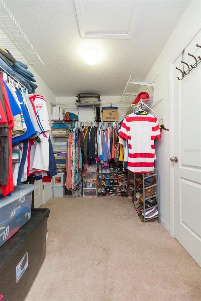 walk in closet with carpet floors