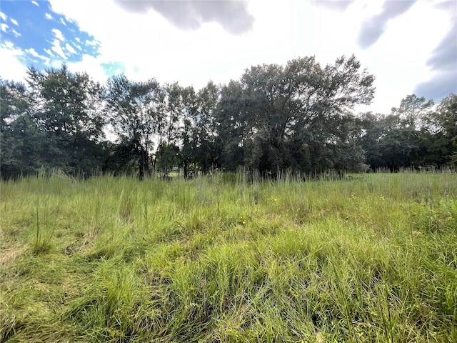 17380 Riverstone Dr, Lutz FL, 33558 land for sale