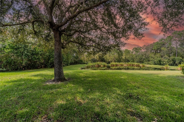 view of yard at dusk