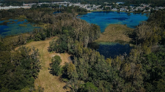 1758 Land O Lakes Blvd, Lutz, FL 33549