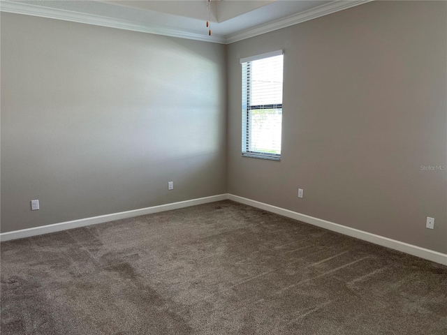 carpeted empty room featuring ornamental molding and ceiling fan