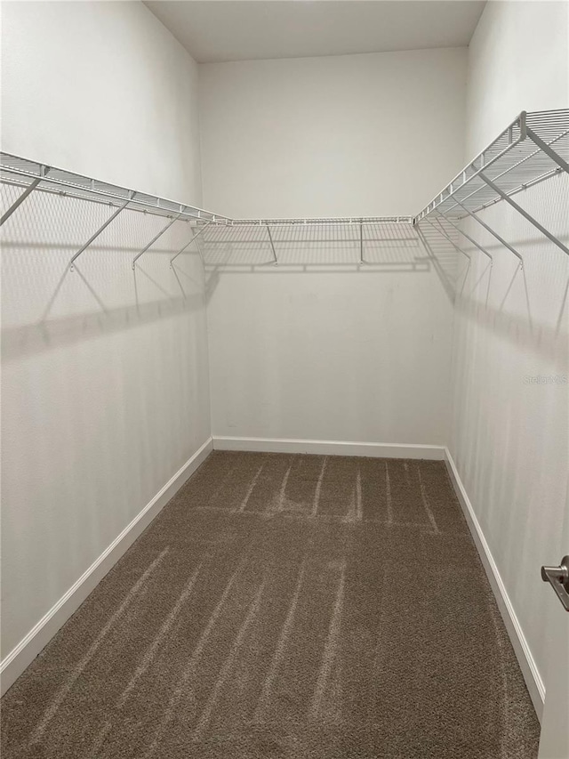 walk in closet with dark carpet