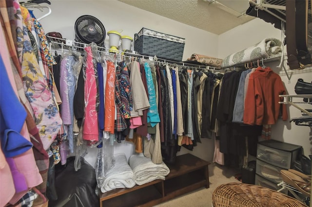 spacious closet featuring carpet