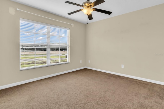 5333 River Rock Rd, Lakeland, FL 33809 - photo 36