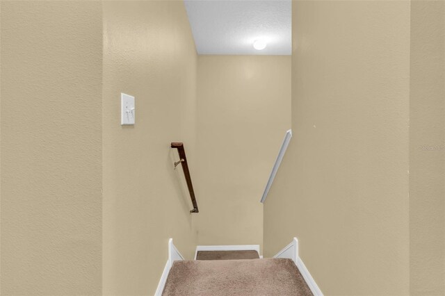 5333 River Rock Rd, Lakeland, FL 33809 - photo 39