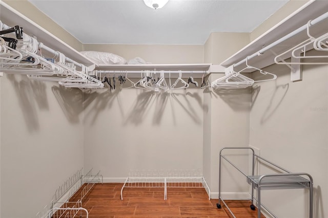 walk in closet featuring hardwood / wood-style floors