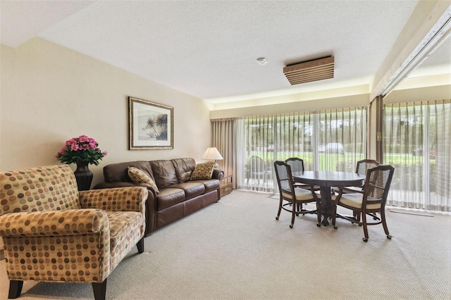 living room featuring a textured ceiling and light carpet