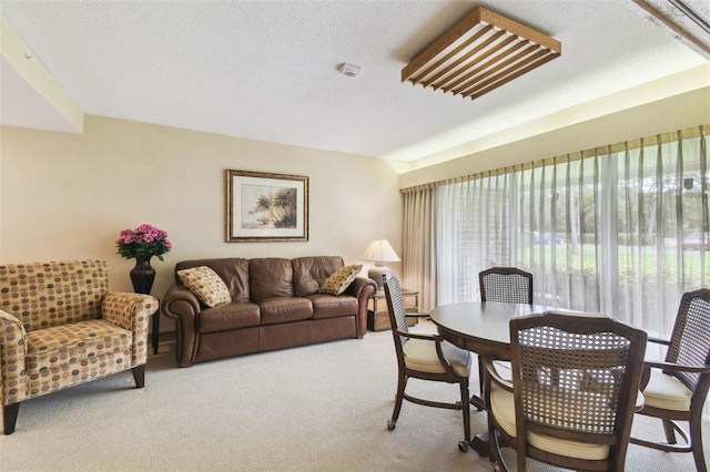 carpeted dining area featuring a textured ceiling