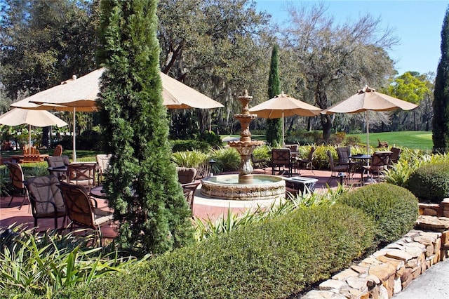 view of yard featuring a patio