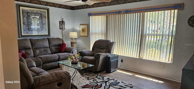 living room with ceiling fan and hardwood / wood-style flooring