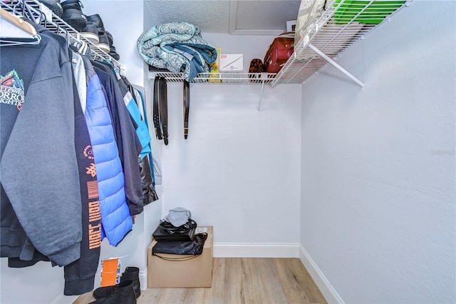 spacious closet with hardwood / wood-style flooring