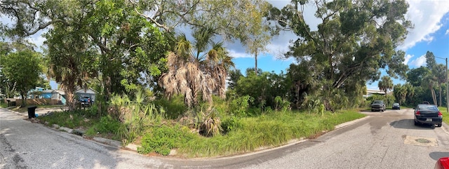 32nd St S, Saint Petersburg FL, 33712 land for sale