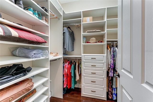 walk in closet with dark hardwood / wood-style flooring