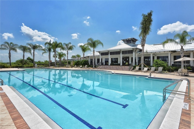 view of pool featuring a patio