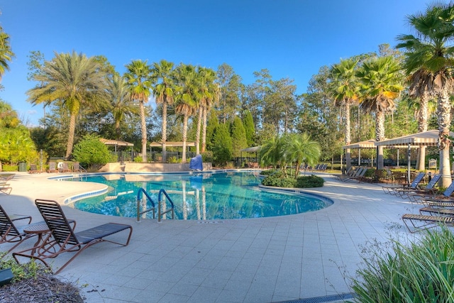 view of pool with a patio area