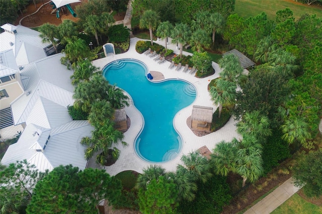 11892 Frost Aster Dr, Riverview, FL 33579 - community pool featuring a patio area