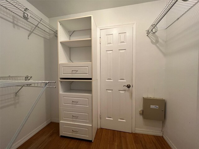 spacious closet with dark wood-type flooring