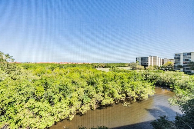 bird's eye view with a water view