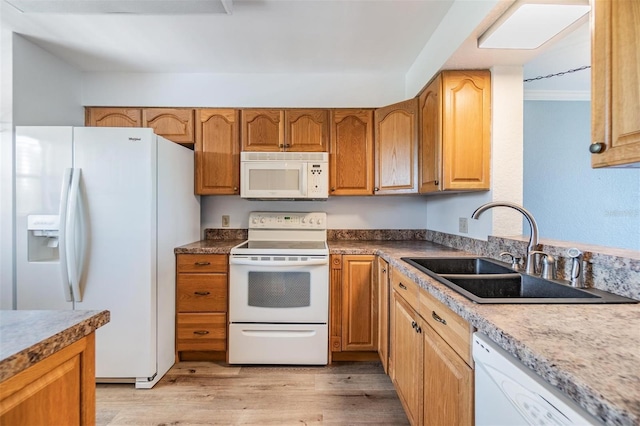 kitchen with sink, light wood-type flooring, and white appliances