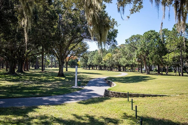 view of home's community featuring a yard