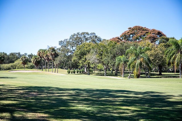 view of property's community with a lawn