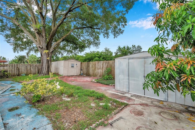 view of yard with a storage shed