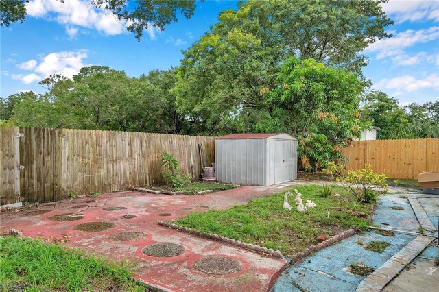 view of yard with a patio area and a shed