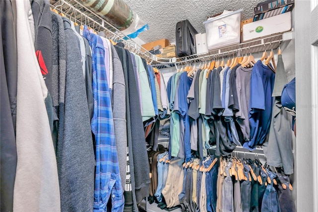 view of spacious closet